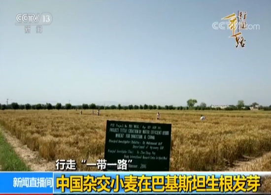 1535089907652665.png 微信圖片_20180824134334.png